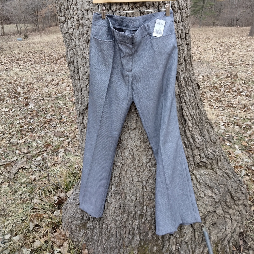 ⬇️ Price Drop!⬇️NWT Tahari Arthur S Levine pant in size 6P